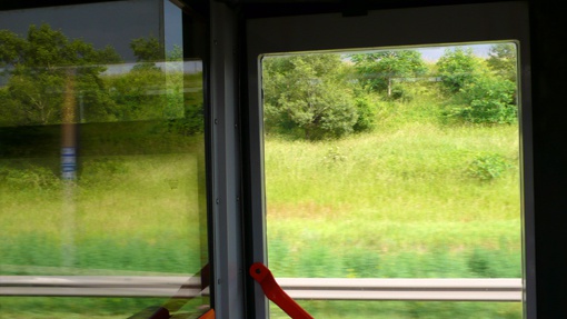 Transdanubische Safari