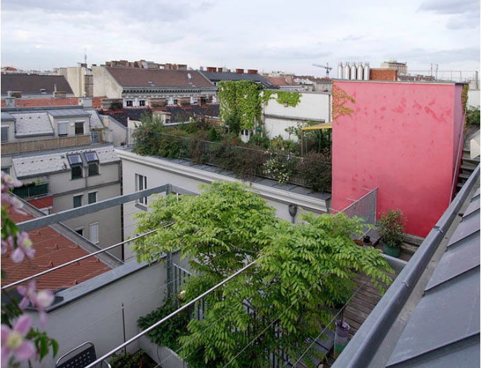 Dachgärten_Oasen der Stadt
