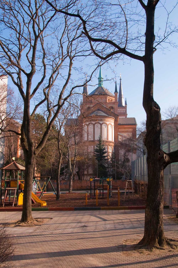 lebendige Lerchenfelder