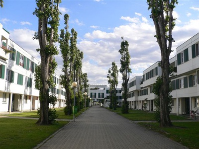 Bauvisite 136: Siedlung Gerasdorferstraße. Architektur: Viktor Hufnagl